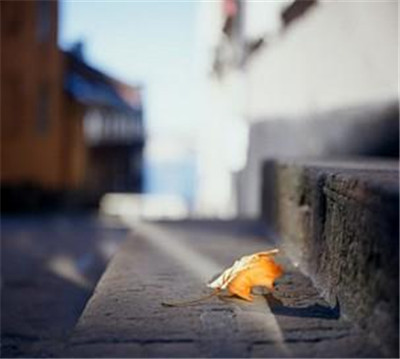 风居住的街道