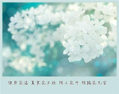 陌上花