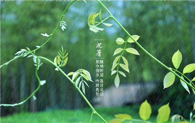 春雨缠绵