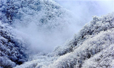 若雪纷飞