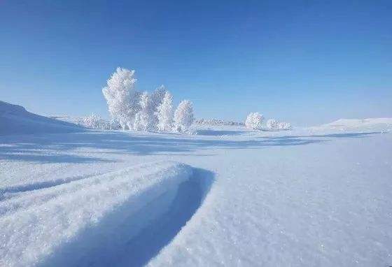 白雪颂