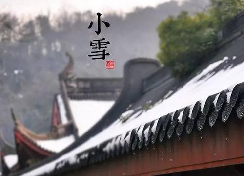 小雪又来，清寒至！