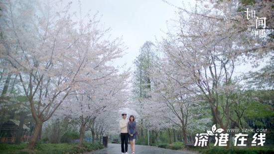 《时间都知道》唐嫣窦骁上演“樱花吻” 网友：加减夫妇锁了