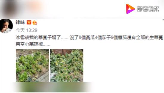 谢霆锋的菜园子塌了 锋哥要考虑一下大棚吗？