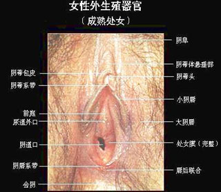 QQ图片20160402185828.jpg