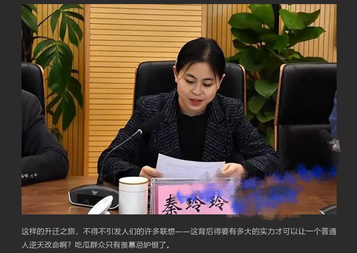 美女副县长秦玲玲 为升官沦为高官玩物 长相甜美升得急跌得快 只有中学学历却上位神速