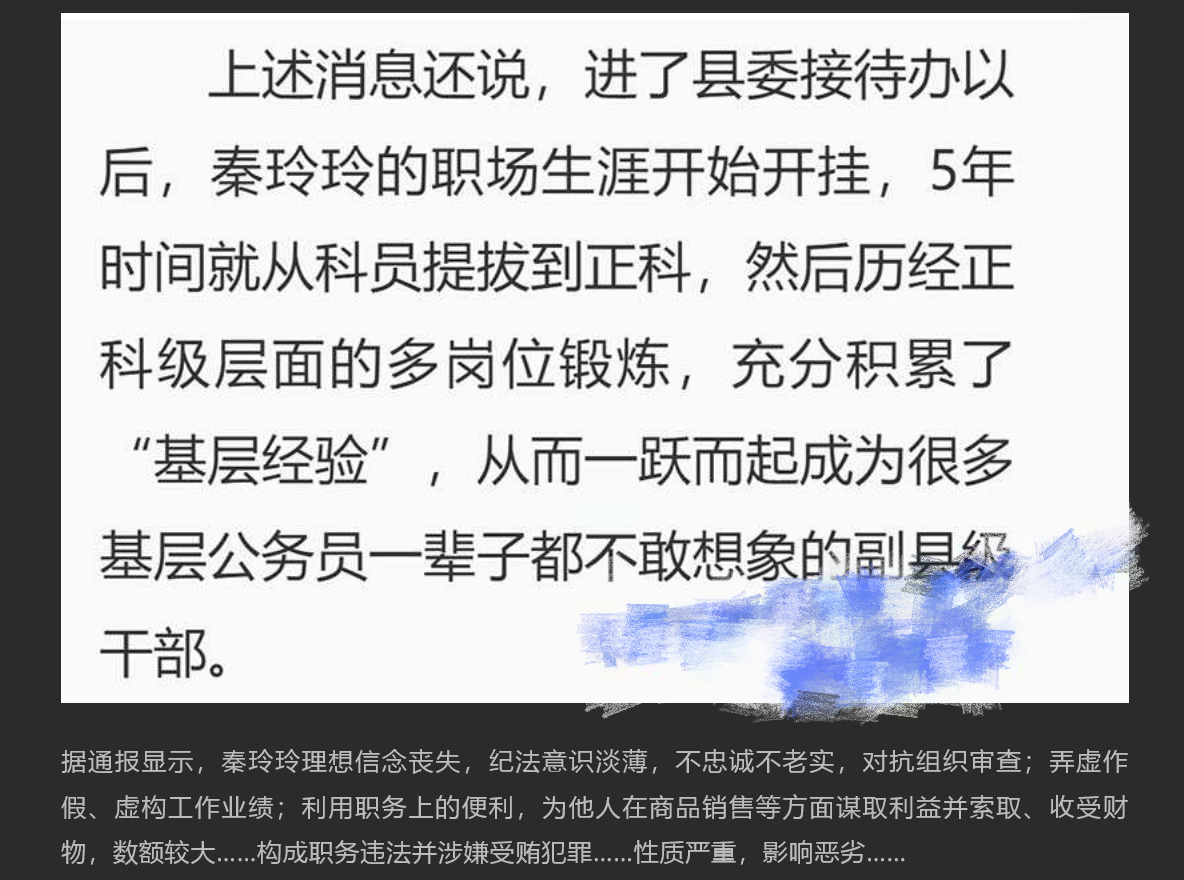 美女副县长秦玲玲 为升官沦为高官玩物 长相甜美升得急跌得快 只有中学学历却上位神速