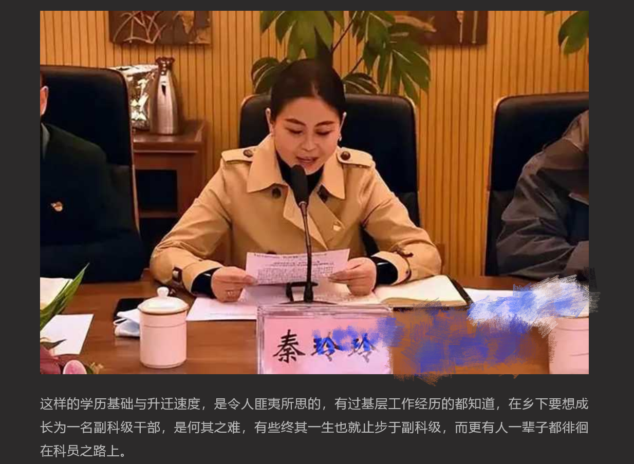 美女副县长秦玲玲 为升官沦为高官玩物 长相甜美升得急跌得快 只有中学学历却上位神速