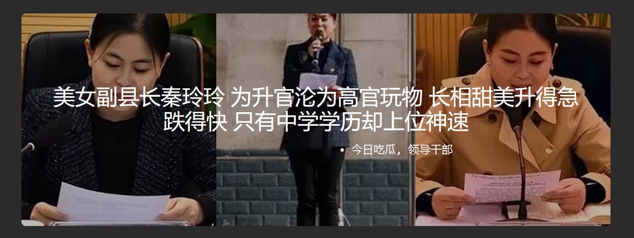 美女副县长秦玲玲 为升官沦为高官玩物 长相甜美升得急跌得快 只有中学学历却上位神速